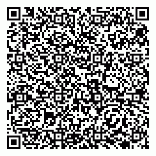 vCard 79138021339