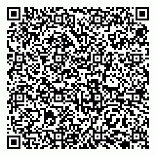 vCard 79138023439