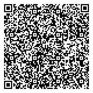 vCard 79138023775