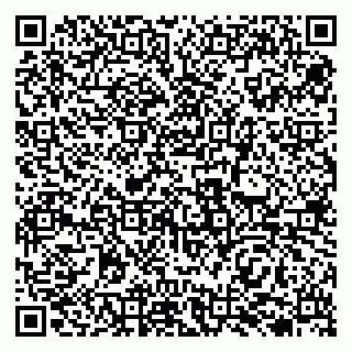 vCard 79138024039