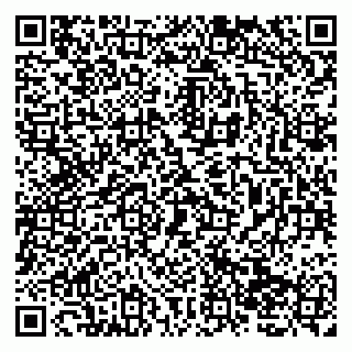 vCard 79138025039