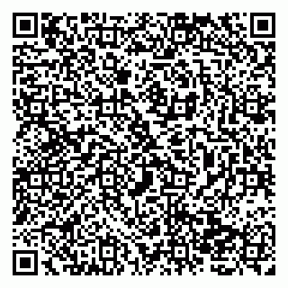 vCard 79138025539
