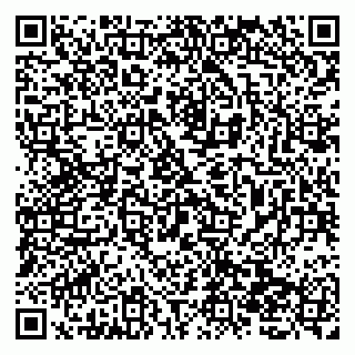 vCard 79138028839