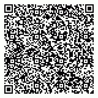 vCard 79138028892