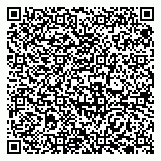 vCard 79138029251