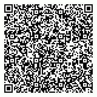 vCard 79138029455