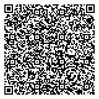 vCard 79138030294