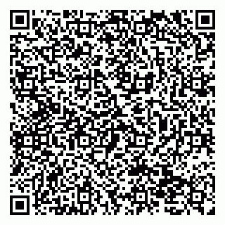 vCard 79138031007