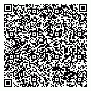 vCard 79138031133