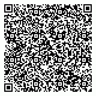 vCard 79138031985