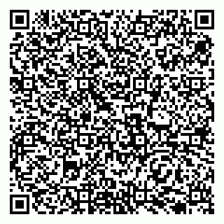 vCard 79138032039