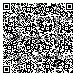 vCard 79138032158