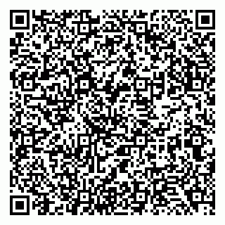vCard 79138032303