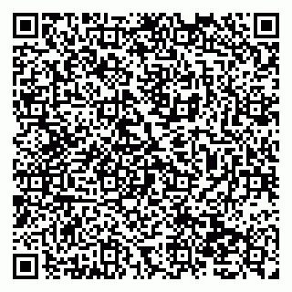 vCard 79138032405