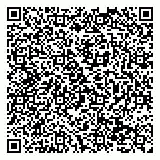vCard 79138032461