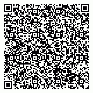 vCard 79138033167