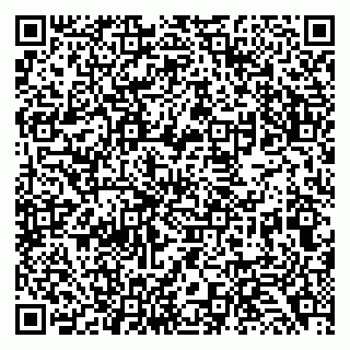 vCard 79138033232