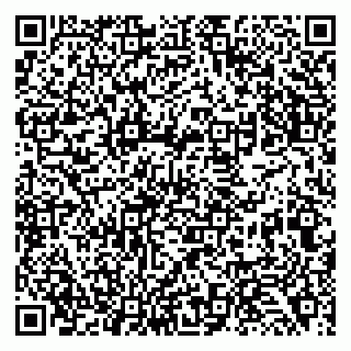 vCard 79138033294