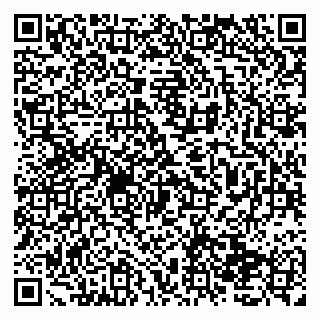 vCard 79138033330
