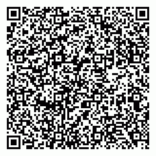 vCard 79138033332