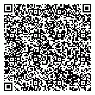 vCard 79138033334