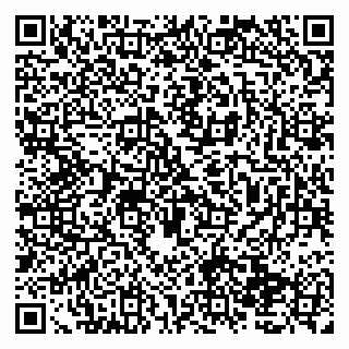 vCard 79138033335