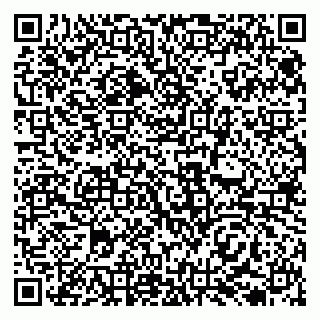 vCard 79138033337