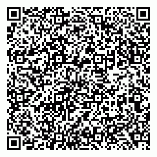 vCard 79138033489