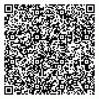 vCard 79138033701
