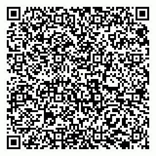 vCard 79138033710