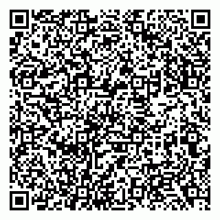 vCard 79138033713