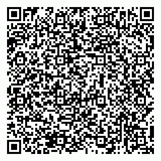 vCard 79138033715