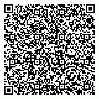 vCard 79138033717