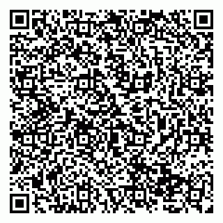 vCard 79138033719