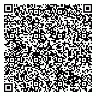 vCard 79138033722