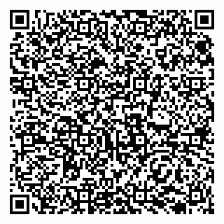 vCard 79138033727