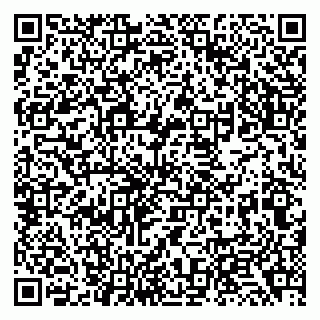 vCard 79138033729