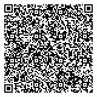 vCard 79138033730