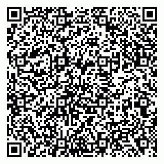 vCard 79138033731