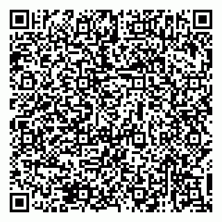 vCard 79138033733
