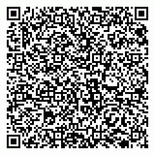 vCard 79138033736