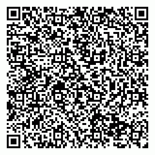 vCard 79138033737