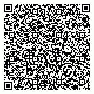 vCard 79138033740