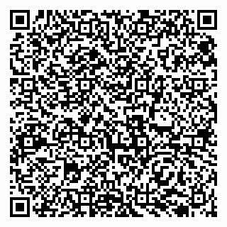 vCard 79138033741