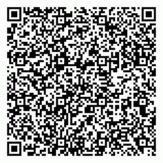vCard 79138033743
