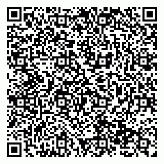 vCard 79138033748