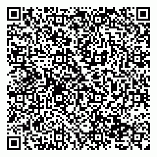 vCard 79138033770