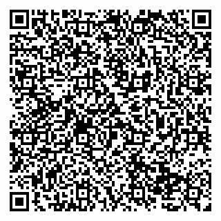 vCard 79138033780