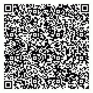 vCard 79138033859