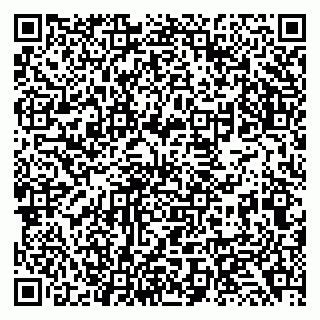 vCard 79138034005